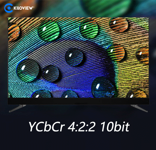 4:2:2,10bit