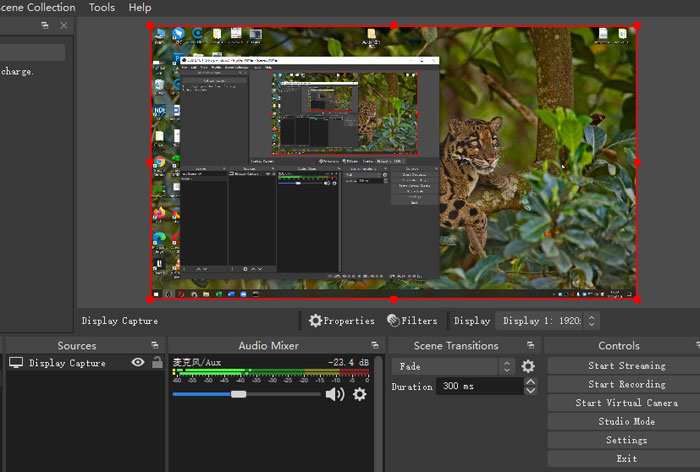 obs-virtual-camera-screen-capture